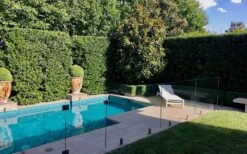 Bay Laurel (Sweet Bay) - Laurus Nobilis - 1 Gallon Pot -Garden Plants Shop Bay Laurel 7