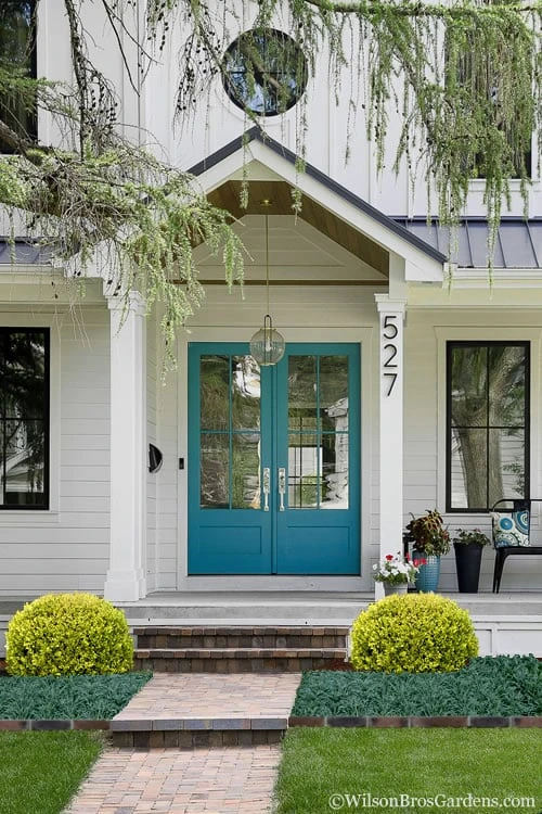 Golden Triumph Variegated Dwarf Boxwood - 6 Pack Of 1 Gallon Pots 7 Golden Triumph Variegated Dwarf Boxwood - 6 Pack Of 1 Gallon Pots - Image 5