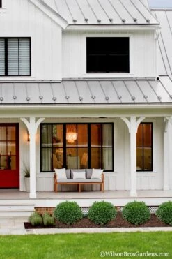 Korean Dwarf Boxwood - Buxus Sinica Var. Insularis 'Nana' - 6 Pack Of 1 Gallon Pots -Garden Plants Shop Boxwood Korean Dwarf Insularis Nana 4