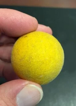 Flying Dragon Hardy Orange Tree - 3 Gallon Pot -Garden Plants Shop Orange Flying Dragon 6