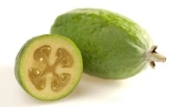 Pineapple Guava -Feijoa Sellowiana - 7 Gallon Pot -Garden Plants Shop Pineapple Guava Fruit