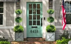 Green Mountain Boxwood 3-Ball Poodle Tier Topiary - 6 Gallon Pot -Garden Plants Shop buxus green mountain 3 ball topiary 20