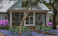 Snow Globe Gardenia - 1 Gallon Pot -Garden Plants Shop gardenia jasminoides snow globe 2 1