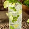 Mojito Mint Plant - 6 Pack Of Pint Pots 2 Mojito Mint Plant - 6 Pack Of Pint Pots -Garden Plants Shop mentha x villosa mojito mint 5